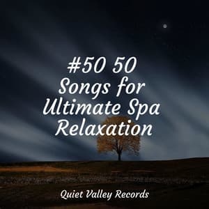#50 50 Songs for Ultimate Spa Relaxation - Rain Hard