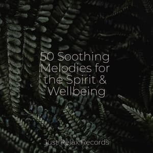 50 Soothing Melodies for the Spirit & Wellbeing - Kinderliederbande