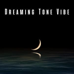 Dreaming Tone Vibe: Meditation Music for Sleep - Sleepy Meditation