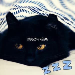 柔らかい音楽 - Musica di Sottofondo Jazz