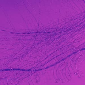 Cultivated Background Music for Lounging Luxury - Musica Hoteles