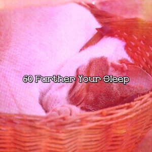 60 Further Your Sleep - Baby Rest