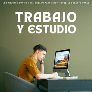 Trabajo Y Estudio: Los Mejores Sonidos Del Océano Para Leer Y Estudiar Durante Horas - Colectivo de música de trabajo