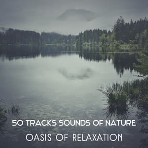 50 Tracks Sounds of Nature: Oasis of Relaxation – Reiki Healing and Buddhist Meditation, Connect with Nature, Self Hypnosis, Yoga for Core Strength - Gentle Nature Sounds Ensemble