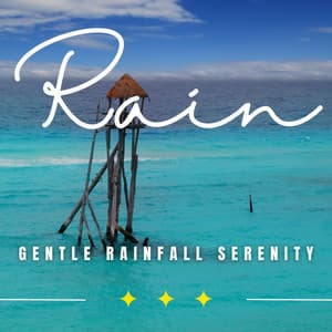 Raindrops of Tranquility: Binaural Rainfall - Rain Hard