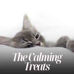 The Calming Treats - The Real Animal relaxer