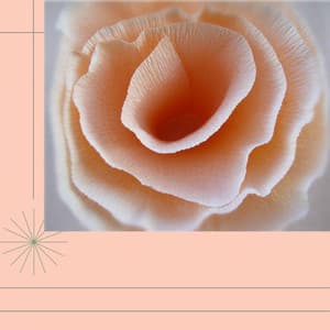 Trumpet Bossa - Background for Smooth Mornings - Acoustic Cafe Music Background Music