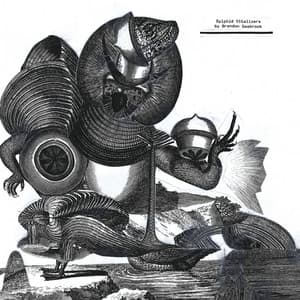 Sylphid Vitalizers - Brandon Seabrook