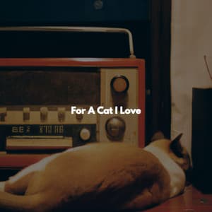 For A Cat I Love - Background Jazz for Studying
