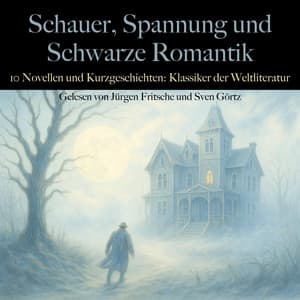 Schauer, Spannung und Schwarze Romantik: 10 Novellen und Kurzgeschichten - E. T. A. Hoffmann