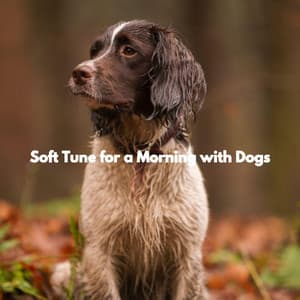 Soft Tune for a Morning with Dogs - Relaxation Music For Dogs