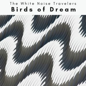 2022 Birds of Dream - The White Noise Travelers