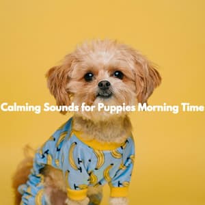 Calming Sounds for Puppies Morning Time - Dog Sleeping Soundtracks Deluxe
