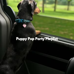 Puppy Pop Party Playlist - Night Time Jazz Moods