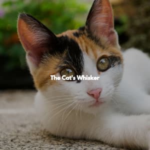The Cat's Whisker - Soft Tea Break Chill Out