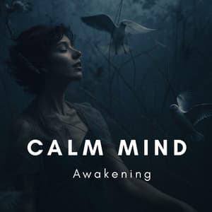 Calm Mind Awakening - Healing Meditation Zone