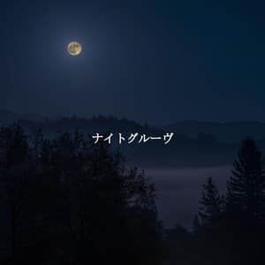 ナイトグルーヴ - Musica para Hoteles