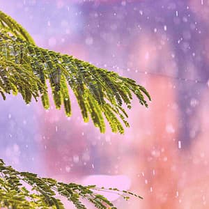 Lively Background Music for Self Soothing - Rainy Day Music