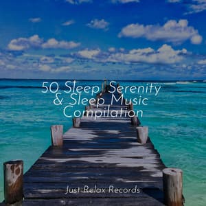 50 Sleep, Serenity & Sleep Music Compilation - Spa & Spa