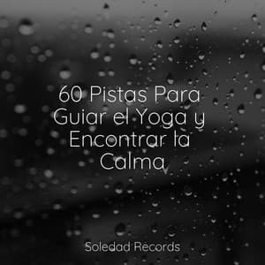 60 Pistas Para Guiar el Yoga y Encontrar la Calma - Masaje Tantrico Musica Colección