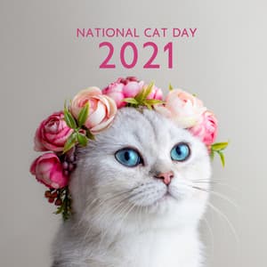 National Cat Day 2021 - Calm Animals Music