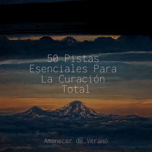 50 Pistas Esenciales Para La Curación Total - kinderliedjes