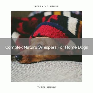 Complex Nature Whispers For Home Dogs - Pets Relax