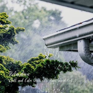 Relaxation: Chill and Calm Down with Rain Sound Vol. 1 - Relaxing Nature Sounds Collection