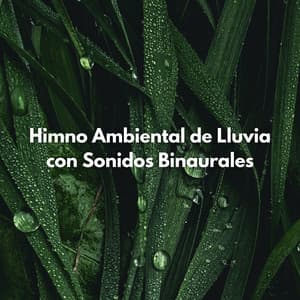 Himno Ambiental De Lluvia Con Sonidos Binaurales - Frecuencias Binaurales