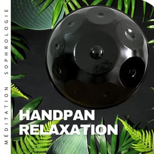 Handpan relaxation et sons de la nature - Méditation Sophrologie