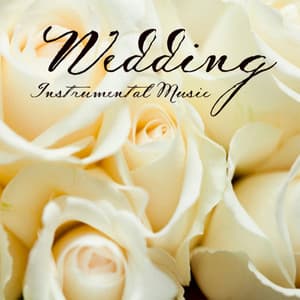 Wedding - The Music Themes