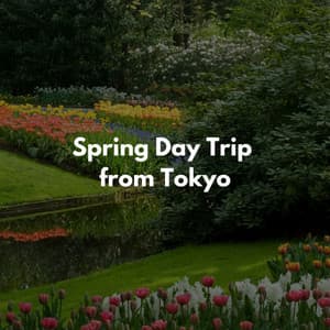 Spring Day Trip from Tokyo - Jazz Rilassante Retro