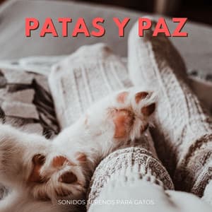 Patas Y Paz: Sonidos Serenos Para Gatos - Alma serena