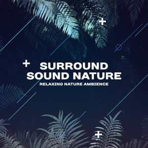 Surround Sound Nature - Relaxing Nature Ambience