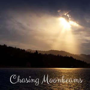 Chasing Moonbeans - Red Hot Viper