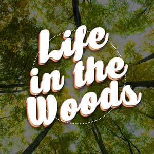 Life in the Woods - Bird Sounds