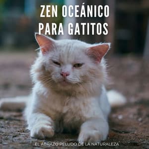 Zen Oceánico Para Gatitos: El Abrazo Peludo De La Naturaleza - Grabaciones de campo de la naturaleza