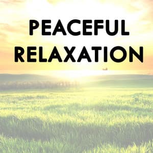 Peaceful Relaxation - Soothing White Noise for Relaxation