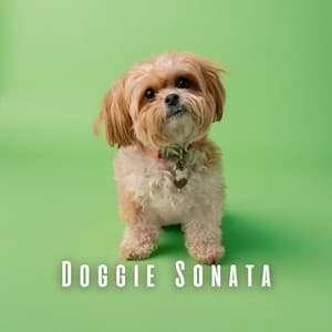 Doggie Sonata: Piano Serenades for Canines - Elba