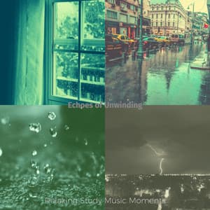 Echoes of Unwinding - Relaxing Study Music Moments