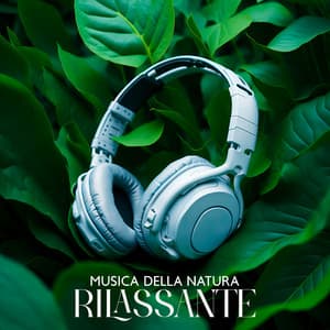 Musica Della Natura Rilassante – Dormire, Sognare, Respirare, Rilassarsi - Zona Relax