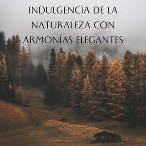 Indulgencia De La Naturaleza Con Armonías Elegantes - Ruido y Naturaleza