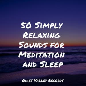 50 Simply Relaxing Sounds for Meditation and Sleep - Cascada de Lluvia