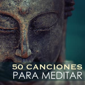 50 Canciones para Meditar - Sonidos Naturales para Sanar el Alma y Dormir Profundamente - Serenidad Alves
