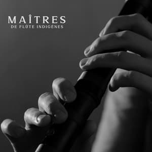 Maîtres de flûte indigènes: Éveillez votre esprit, boostez instantanément votre énergie, calmez vos mauvaises émotions - Flute Music Group