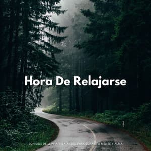 Hora De Relajarse: Sonidos De Lluvia Relajantes Para Curar Tu Mente Y Alma - Oriqi Soundhealing