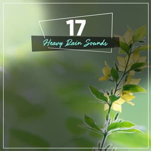 #16 Tranquil Rain Storms for Relaxation & Sleep - Rain Forest FX