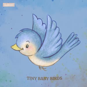 Tiny Baby Birds - Lulubabies
