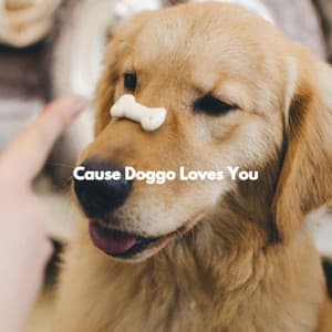 Cause Doggo Loves You - Miami Hotel Jazz