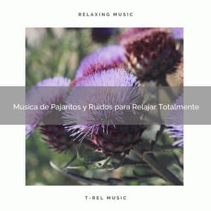 Música de Pajaritos y Ruidos para Relajar Totalmente - Ruido Blanco